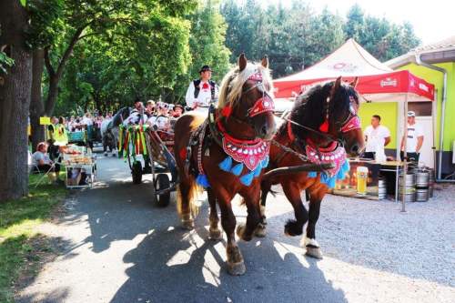 furmanske_preteky2019_02